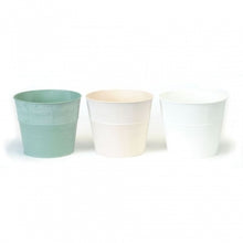  Colour Ribbed Top Pots (Three Colours)