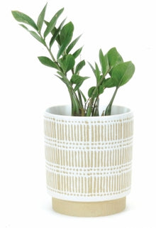  Extra-Large White/Beige Decor Pot 8"