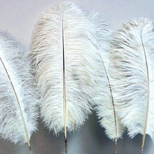  Ostrich Feathers