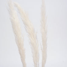  Pampas Grass - 45"