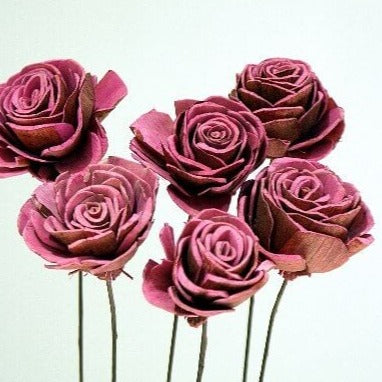 Sola Rose - Small