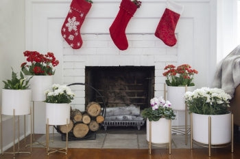 White/Gold Floor Planter