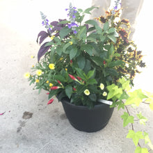  Mixed planter