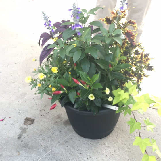 Mixed planter